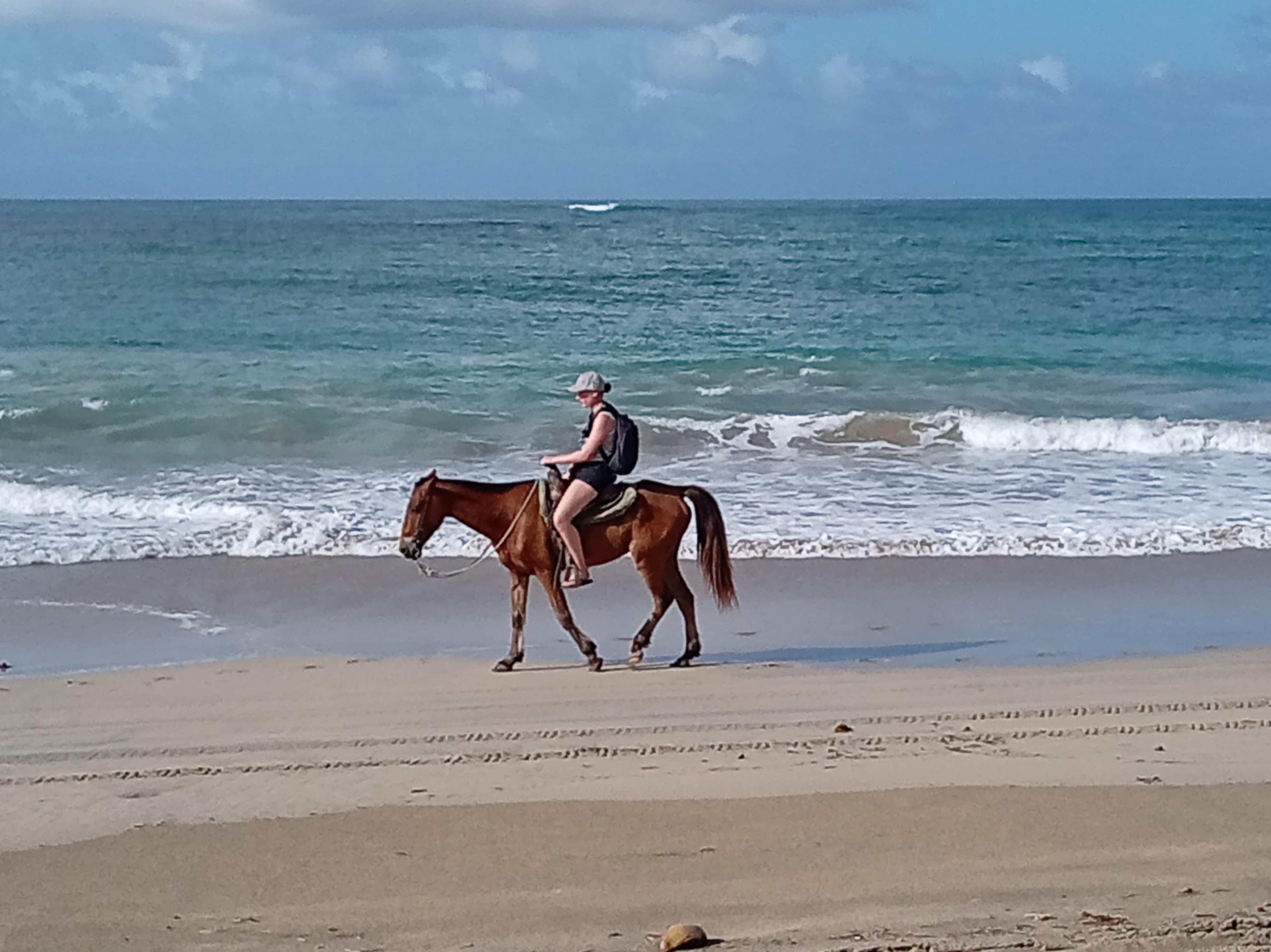 Horseback Beach main photo