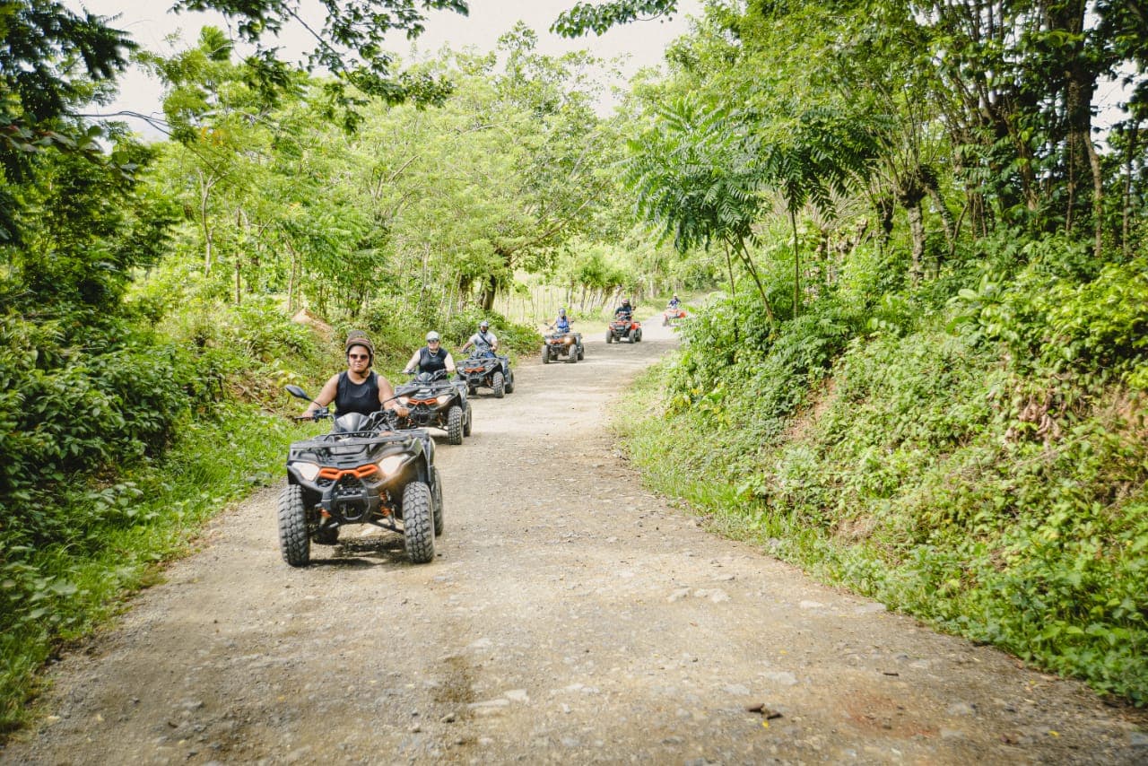 4-Wheel Adventure photo 4