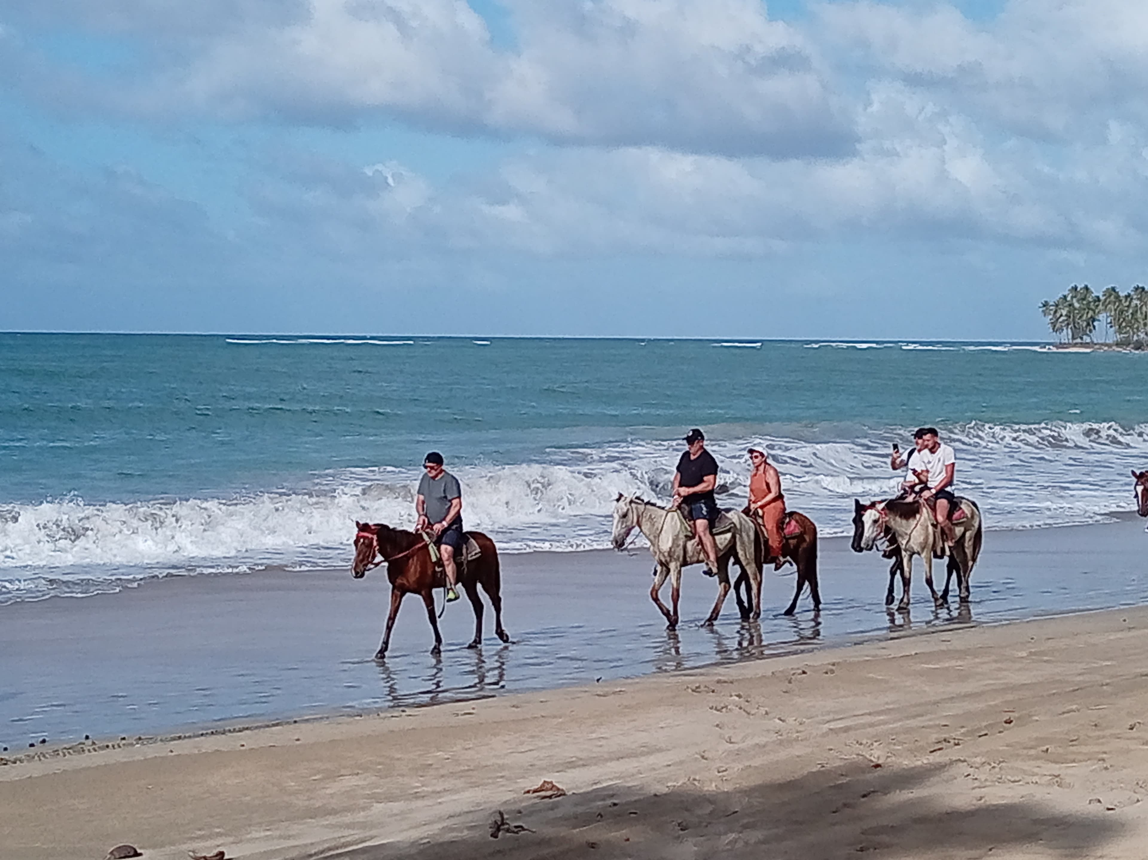 Horseback Beach photo 4
