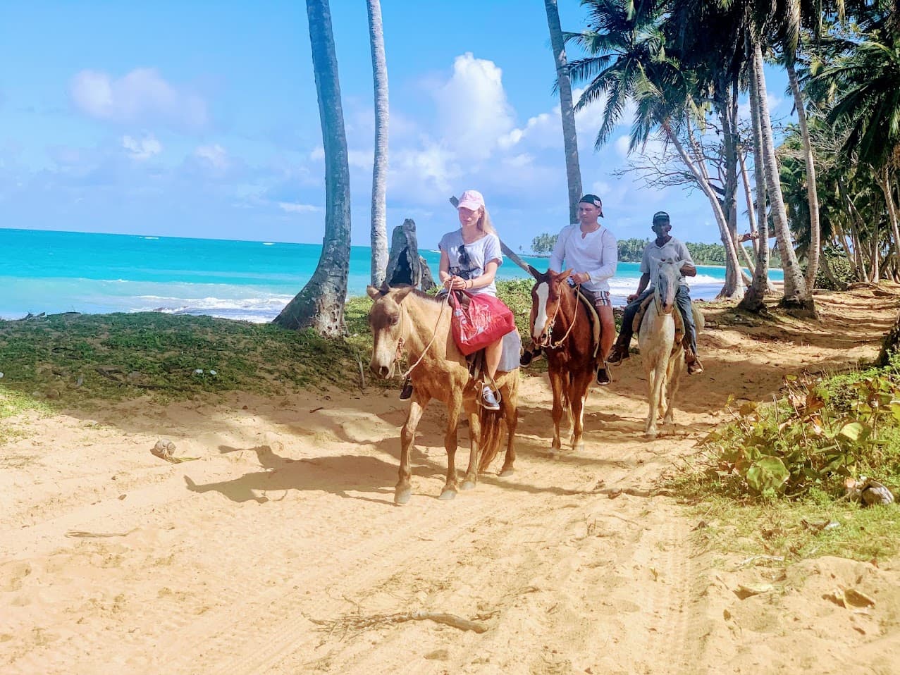 Horseback Beach photo 3